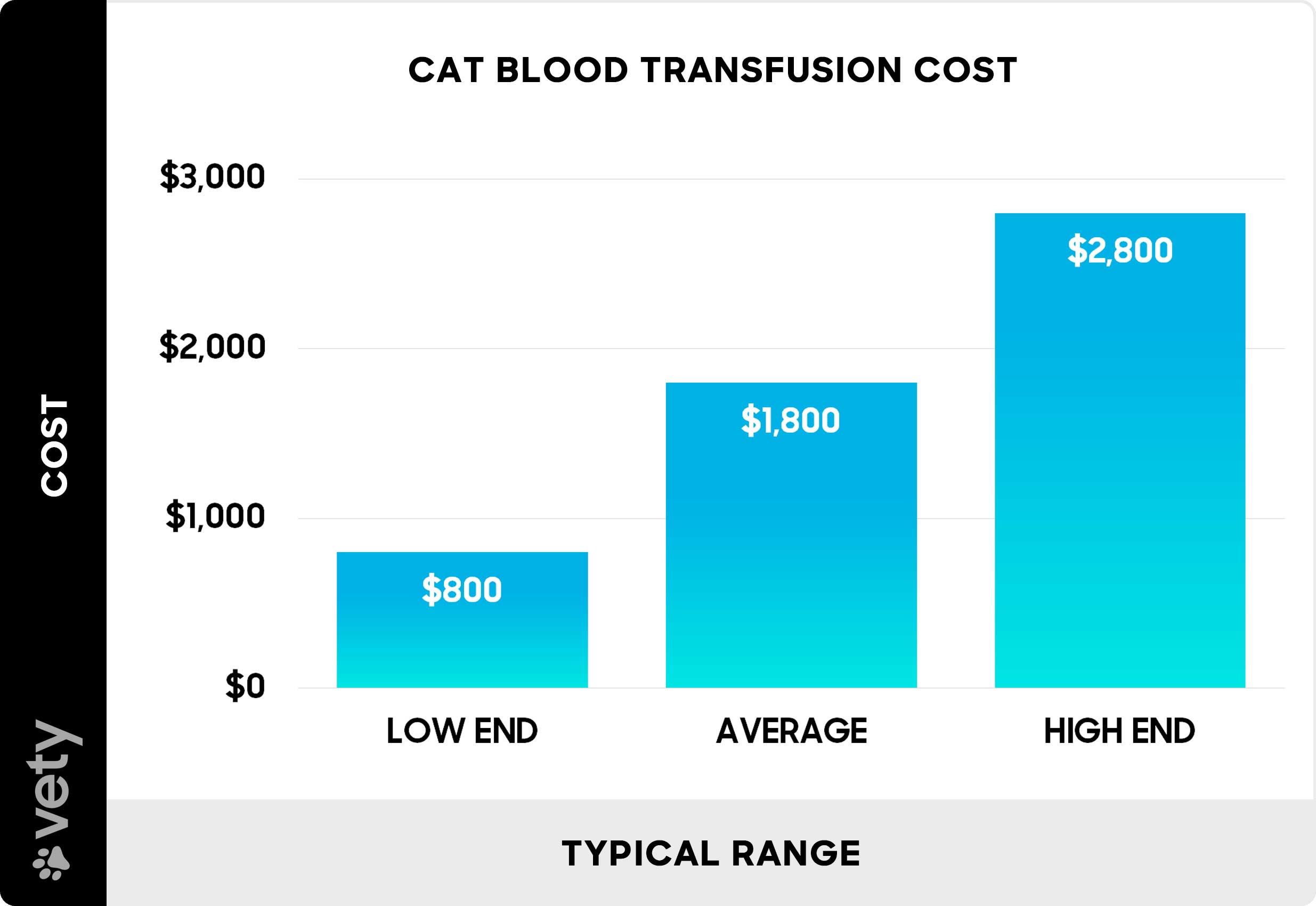 Cat blood transfusion cost - Chart