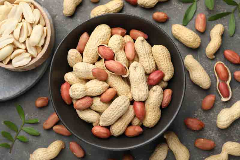 Can dogs eat peanuts?